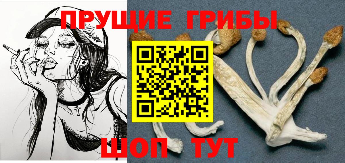 Псилоцибиновые грибы Cubensis  где найти   Псилоцибиновые грибы Psilocybine cubensis  Пушкино  Вход с VPN 